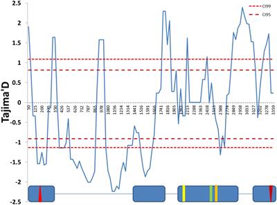 Nucleotide Variation in Drosophila cryptochrome Is Linked to Circadian Clock Function: An Association Analysis